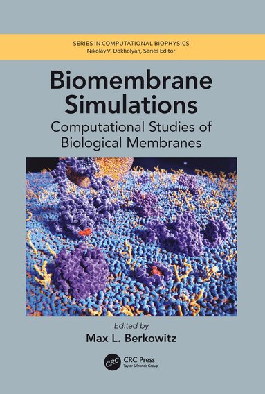 bokomslag Biomembrane Simulations