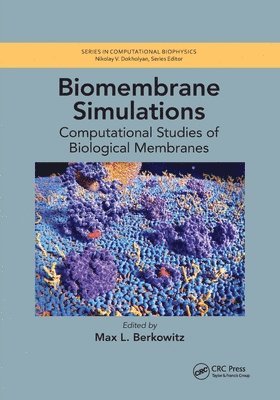 Biomembrane Simulations 1