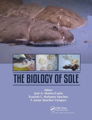 bokomslag The Biology of Sole