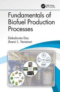bokomslag Fundamentals of Biofuel Production Processes