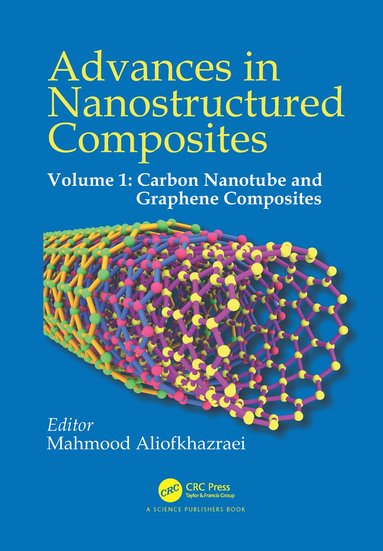 bokomslag Advances in Nanostructured Composites