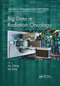 bokomslag Big Data in Radiation Oncology