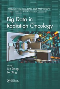 bokomslag Big Data in Radiation Oncology