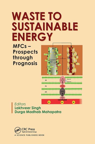Lakhveer Singh, Durga Madhab Mahapatra - Waste to Sustainable Energy, Häftad