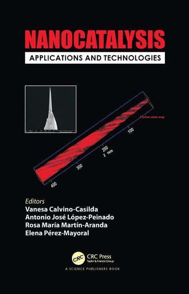 bokomslag Nanocatalysis