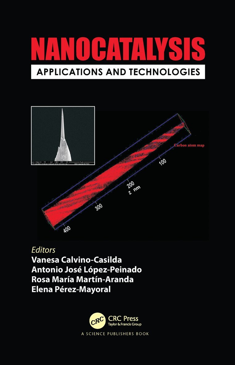 Vanesa Calvino-Casilda, Antonio José López-Peinado, Rosa María Martín-Aranda, Elena Pérez Mayoral - Nanocatalysis, Häftad