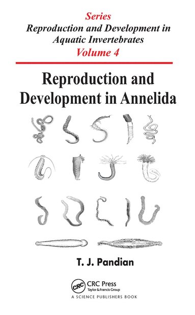 bokomslag Reproduction and Development in Annelida