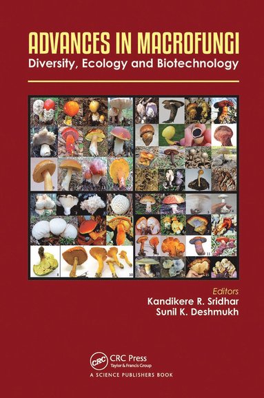 bokomslag Advances in Macrofungi