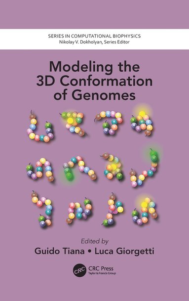 bokomslag Modeling the 3D Conformation of Genomes