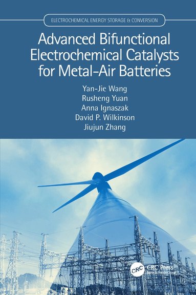 Yan-Jie Wang, Rusheng Yuan, Anna Ignaszak, David P. Wilkinson, Jiujun Zhang - Advanced Bifunctional Electrochemical Catalysts for Metal-Air Batteries, Häftad