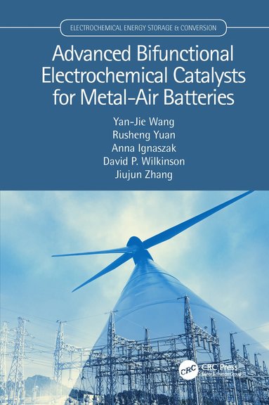 bokomslag Advanced Bifunctional Electrochemical Catalysts for Metal-Air Batteries