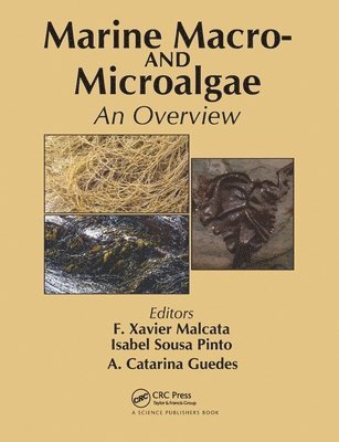 F. Xavier Malcata, Isabel Sousa Pinto, A. Catarina Guedes - Marine Macro- and Microalgae, Häftad