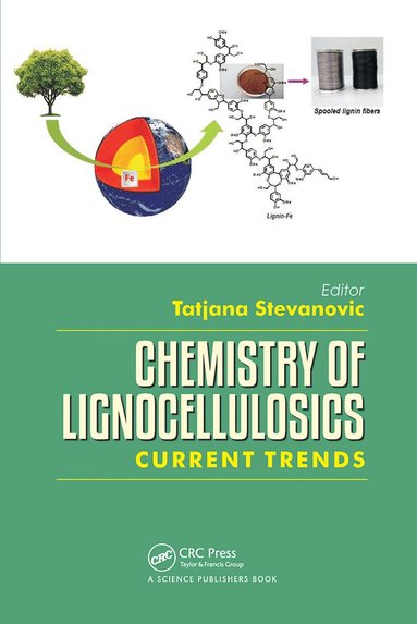 Tatjana Stevanovic - Chemistry of Lignocellulosics, Häftad