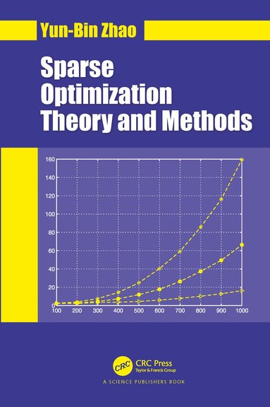 bokomslag Sparse Optimization Theory and Methods