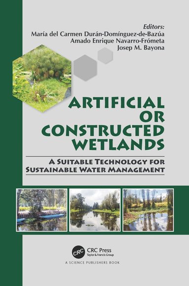 bokomslag Artificial or Constructed Wetlands