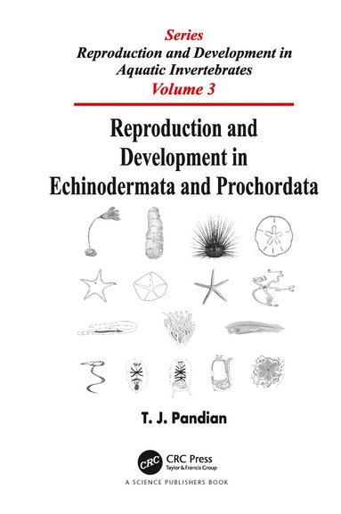 bokomslag Reproduction and Development in Echinodermata and Prochordata