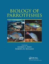 bokomslag Biology of Parrotfishes