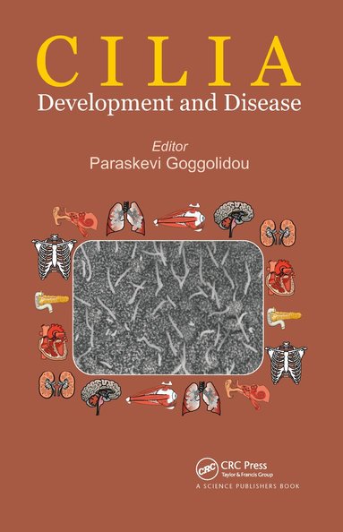 Paraskevi Goggolidou - Cilia, Häftad