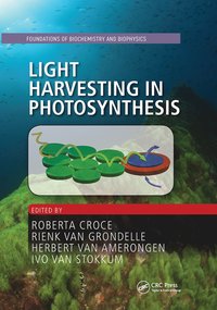 bokomslag Light Harvesting in Photosynthesis