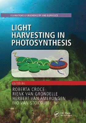 bokomslag Light Harvesting in Photosynthesis
