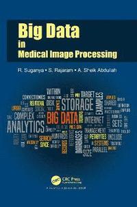 bokomslag Big Data in Medical Image Processing