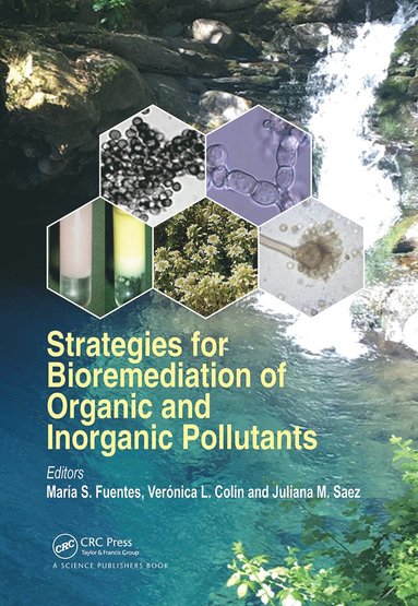 bokomslag Strategies for Bioremediation of Organic and Inorganic Pollutants