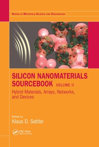 bokomslag Silicon Nanomaterials Sourcebook