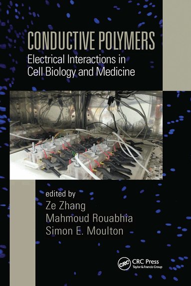 Ze Zhang, Mahmoud Rouabhia, Simon E. Moulton - Conductive Polymers, Häftad
