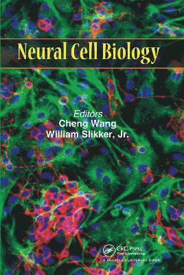 Neural Cell Biology 1