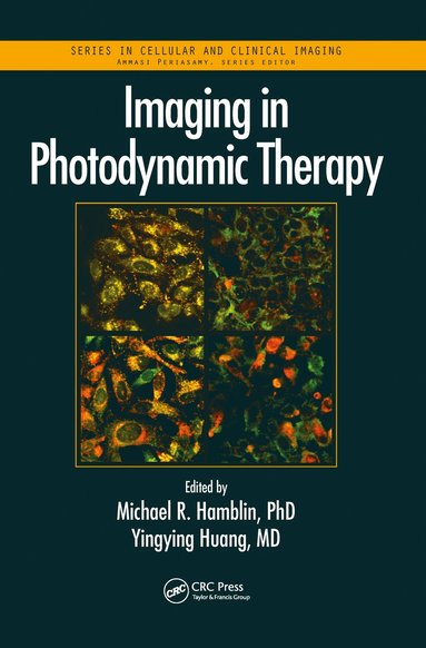 bokomslag Imaging in Photodynamic Therapy