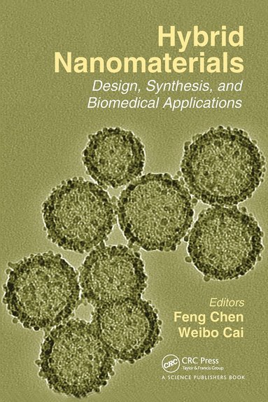 bokomslag Hybrid Nanomaterials