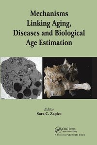 bokomslag Mechanisms Linking Aging, Diseases and Biological Age Estimation