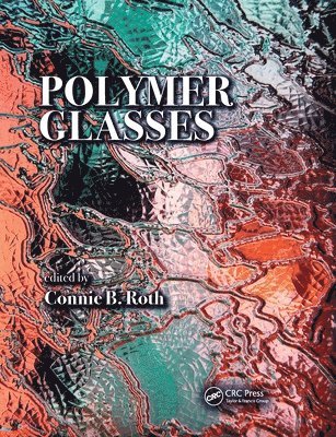 bokomslag Polymer Glasses