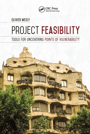 Olivier Mesly - Project Feasibility, Häftad