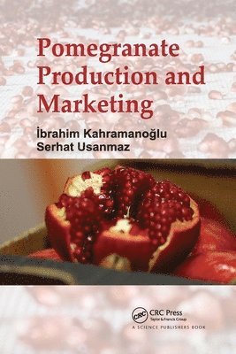 bokomslag Pomegranate Production and Marketing