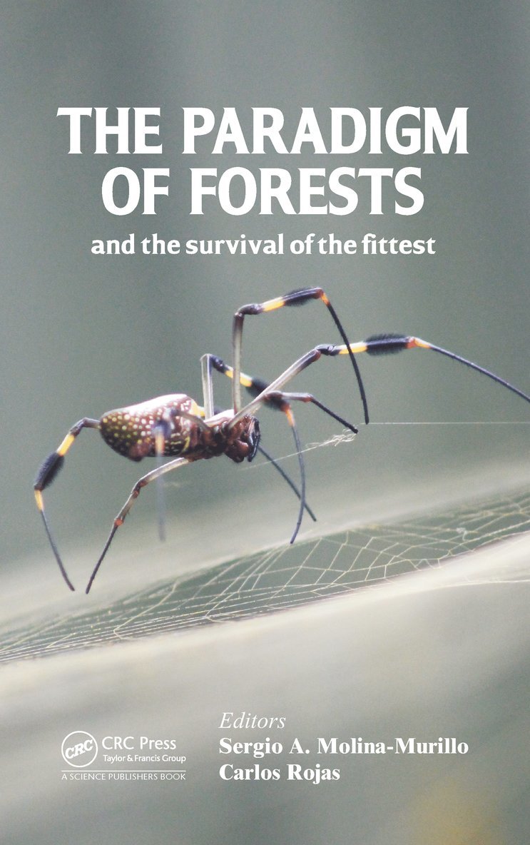 Paradigm of Forests and the Survival of the Fittest