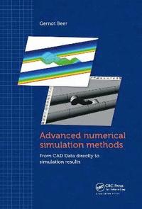 bokomslag Advanced Numerical Simulation Methods