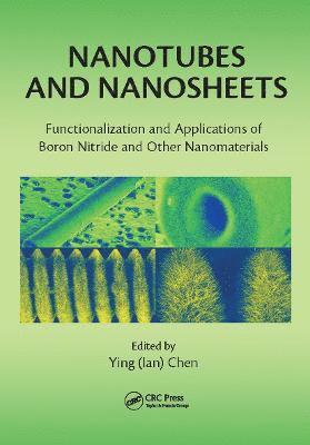 bokomslag Nanotubes and Nanosheets