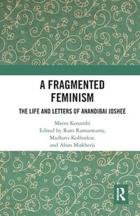 bokomslag A Fragmented Feminism
