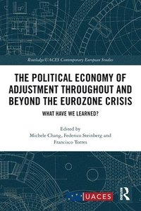 bokomslag The Political Economy of Adjustment Throughout and Beyond the Eurozone Crisis