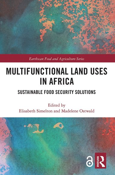 bokomslag Multifunctional Land Uses in Africa