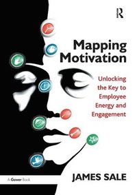 bokomslag Mapping Motivation