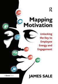 bokomslag Mapping Motivation