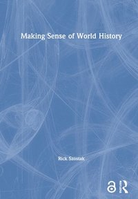 bokomslag Making Sense of World History