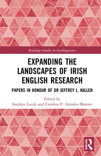 bokomslag Expanding the Landscapes of Irish English Research