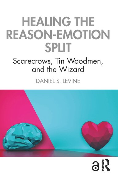 Daniel S. Levine - Healing the Reason-Emotion Split, Häftad