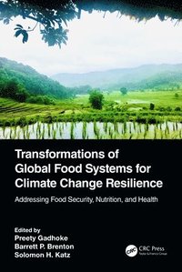bokomslag Transformations of Global Food Systems for Climate Change Resilience