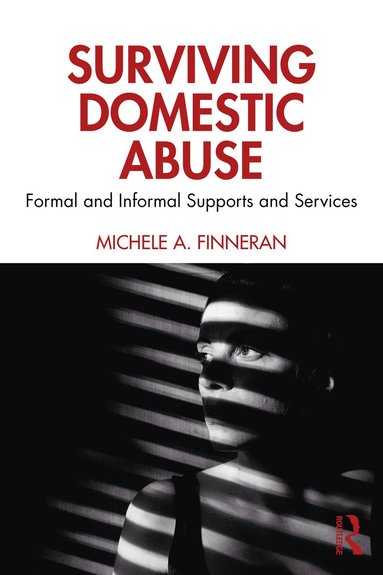 bokomslag Surviving Domestic Abuse