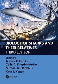 bokomslag Biology of Sharks and Their Relatives