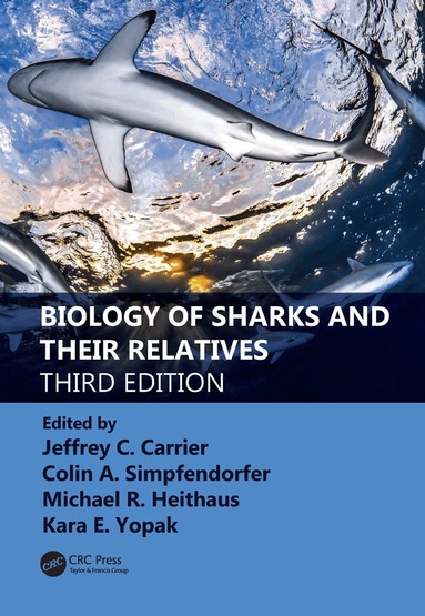Jeffrey C. Carrier, Colin A. Simpfendorfer, Michael R. Heithaus, Kara E. Yopak - Biology of Sharks and Their Relatives, Inbunden